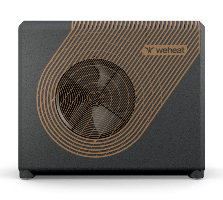 Weheat sparrow Weheat sparrow